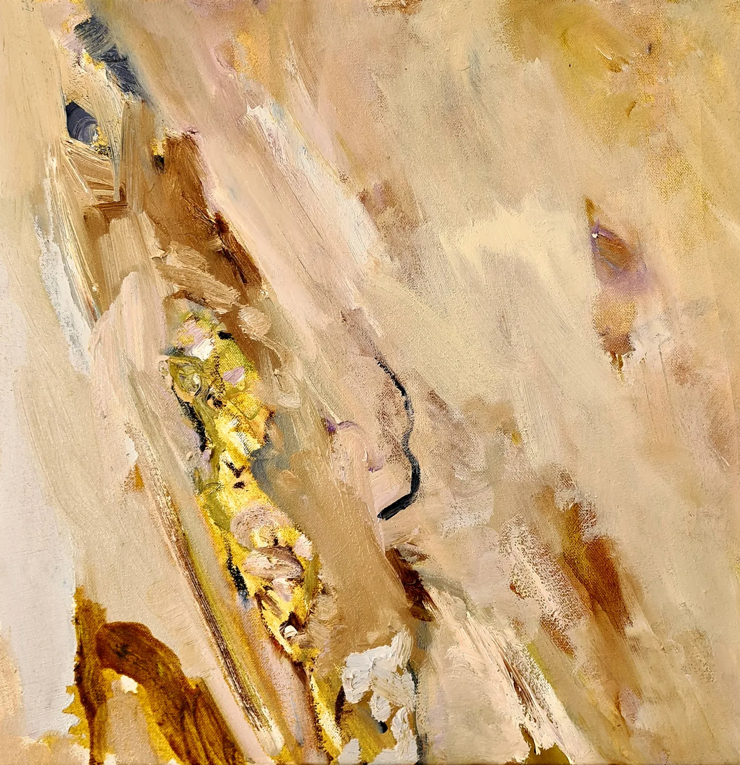 Dry Bed Creek - Roseanne Watson